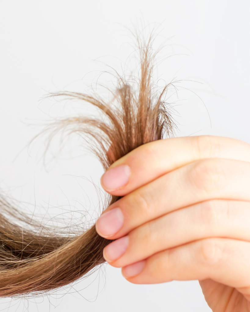 rozdwojone końcówki włosów