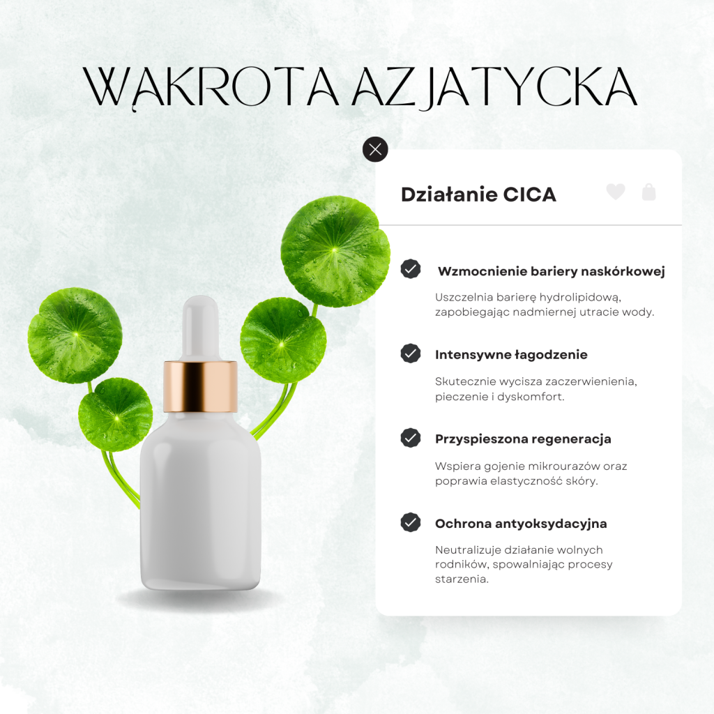 Wąkrota azjatycka działanie