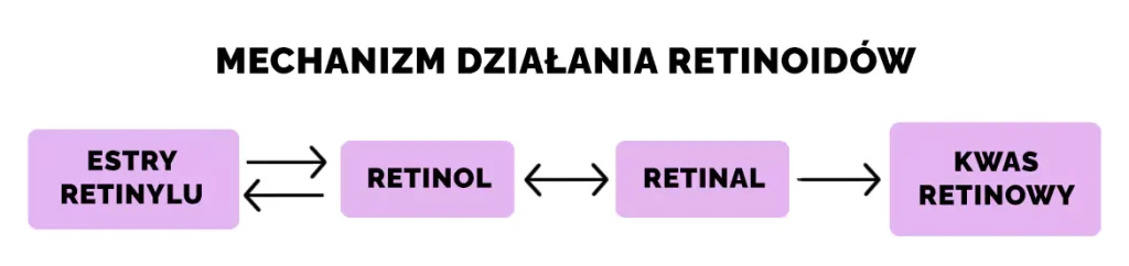 Retinoidy - mechanizm działania retinoidów