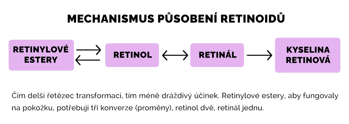 AKÝ JE ROZDIEL MEDZI RETINOLOM A RETINOIDMI
