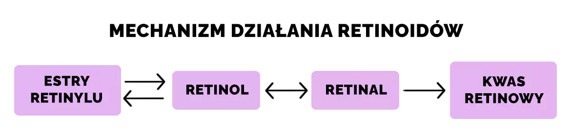 Mechanizm działania retinoidów