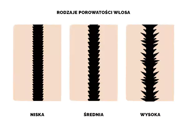 Włosy średnioporowate - rodzaje porowatości włosa
