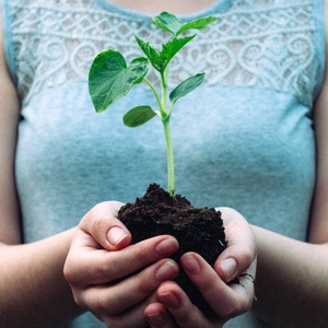 Światowy Dzień Środowiska małe