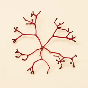 Jak dbać o naczyniową skórę? Sposoby na zaczerwienienia na twarzy