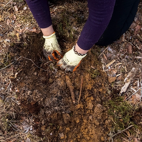 Ekologiczne podsumowanie 2022! Co zrobiliśmy dla planety w poprzednim roku? 