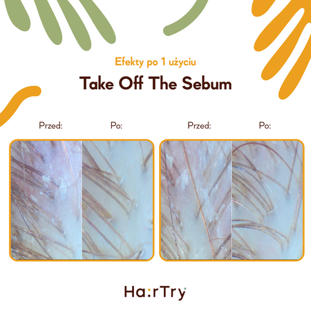 HairTry - Take Off The Sebum - Szampon Oczyszczający - 500ml 