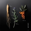 KORIKA - Korean Heritage Ginseng & Marine Stem Cells Cell Renew Eye Cream - Krem pod Oczy - 15ml