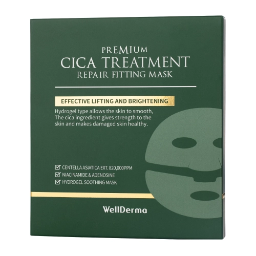 WellDerma - Premium Cica Treatment Repair Fitting Mask Set - Zestaw Regenerujących Masek Hydrożelowych do Twarzy - 4x25g